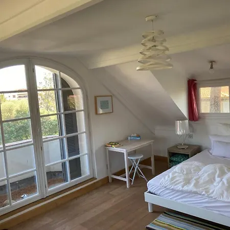 Magnifique Avec Piscine Villa Antibes