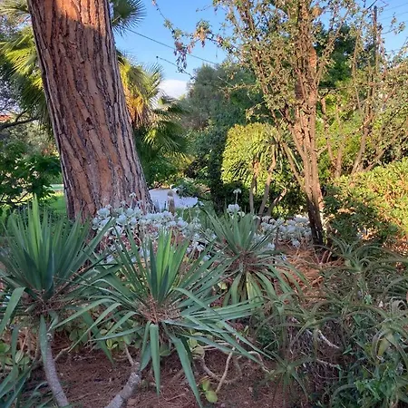 Villa Magnifique Avec Piscine *