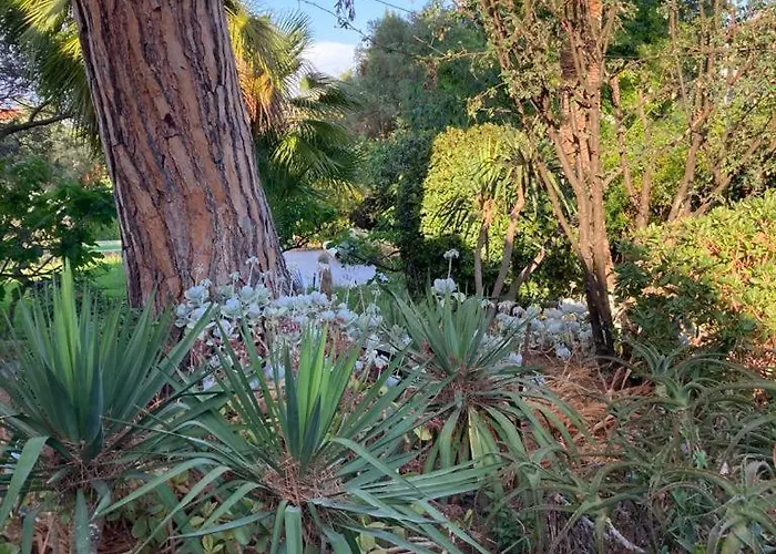 וילה Magnifique Avec Piscine *